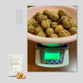 CHILEAN WALNUT – WHOLESALE NATURAL, HIGH-QUALITY SERR & CHANDLER WALNUT VARIETIES